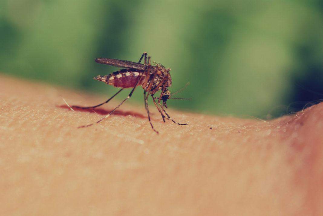 30 साल का प्रयास हुआ कामियाब मिल गई मलेरिया से निजात 