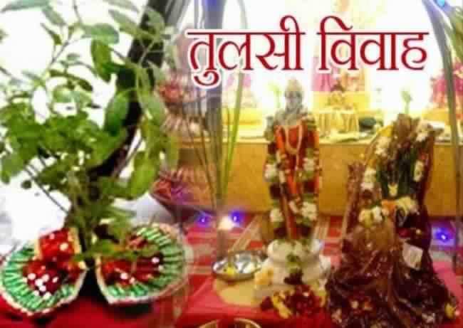 Do these remedies on tulsi vivah 