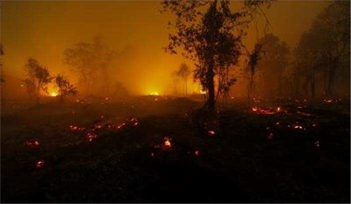 Odisha : जंगल में आग के संबंध में विशेषज्ञ पैनल भेजेगा केंद्र