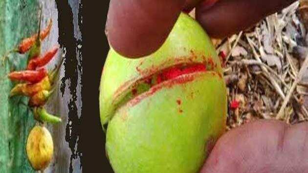 जानें, चौराहे पर रखे टोटकों के बारे में, ठोकर लगने पर करें ये उपाय