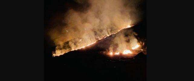 Odisha  ने सिमिलिपाल में आग पर काबू पाने के लिए टीम भेजी