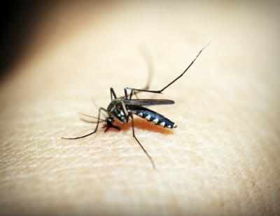 लाओस में dengue cases 7928 हुए