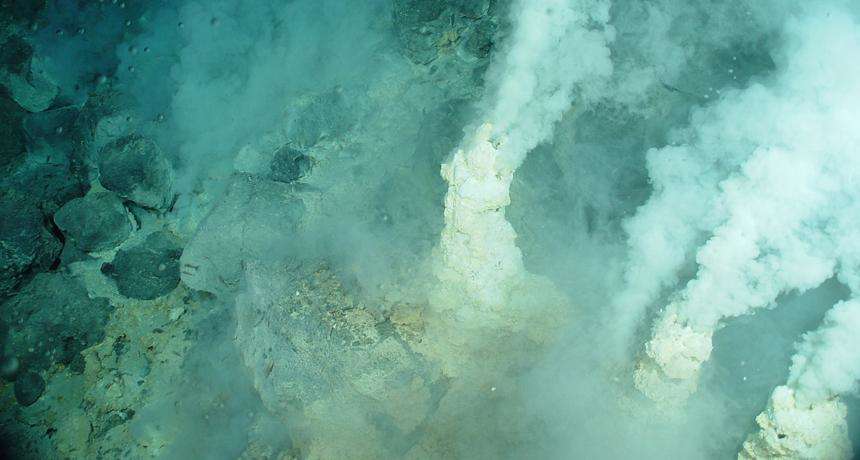 वैज्ञानिकों कि नई खोज, महासागरों कि गहराई में छिपा है तेल पीने वाला जीवाणु