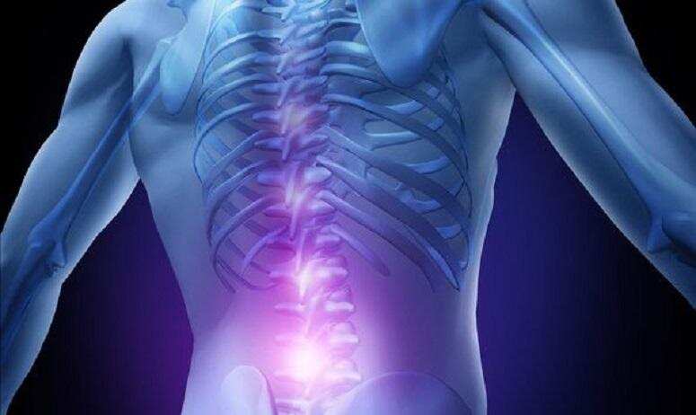 Back pain: पीठ दर्द से पीड़ित? इससे छुटकारा पाने के लिए जानिए घरेलू उपाय