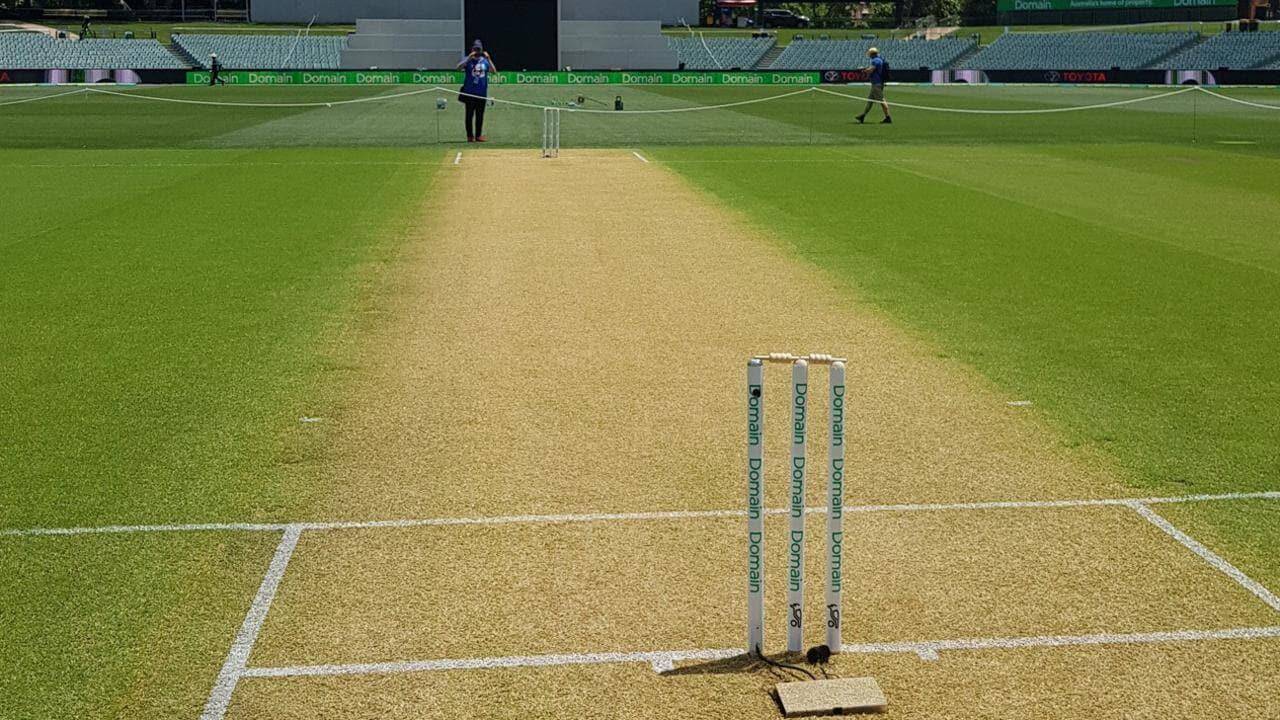 AUS vs IND: भारत और ऑस्ट्रेलिया के बीच Day-Night Test,जानिए पिच और मौसम का हाल