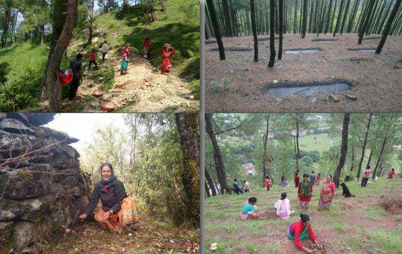 Uttarakhand की वन पंचायत : लोगों का लोगों के लिए वन प्रबंधन