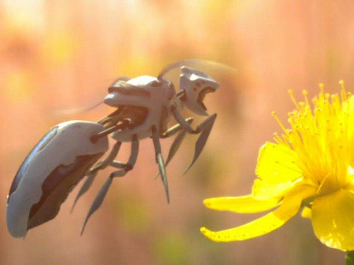 वालमार्ट ने स्वचालित रोबोटिक मधु‍मक्खियों का पेटेंट करवाया, स्मार्ट खेती में आएंगी काम