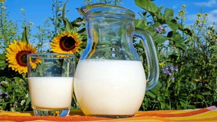 Milk Benefits: कोरोना के दौरान आप जो पीते हैं वह शरीर की प्रतिरोधक क्षमता और काम करने की क्षमता को बढ़ाएगा