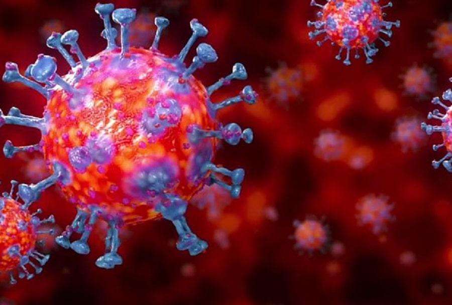 Immunity booster:कोरोना संक्रमण से दूर रहने के लिए, लहसुन का सेवन कर रखें इम्यूनिटी को मजबूत