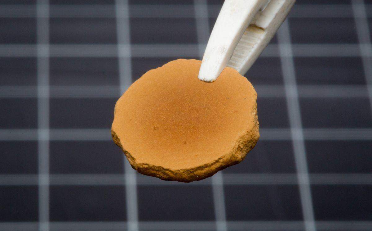 मंगल की मिट्टी से बन सकती हैं ईंटें, धरती से निर्माण सामग्री ले जाने की जरूरत नहीं पड़ेगी