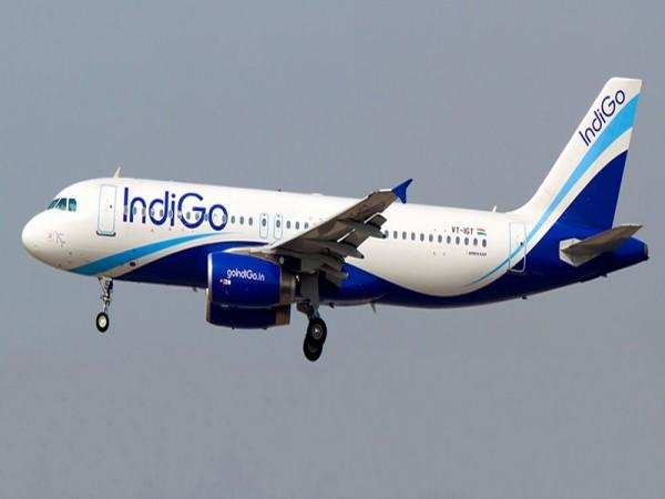 Travel: IndiGo बरेली से मुंबई और बेंगलुरु के लिए सीधी उड़ान भरेगी