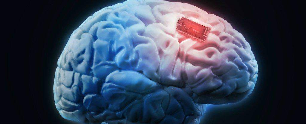 एसिड के कारण यादों को स्टोर रखता है हमारा दिमाग