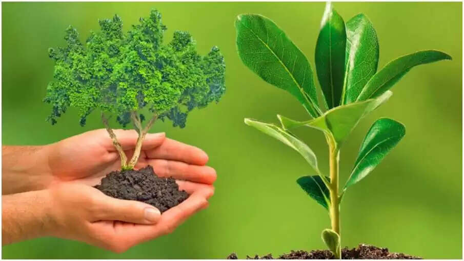 hariyali amavasya 2023 date muhurta and significance