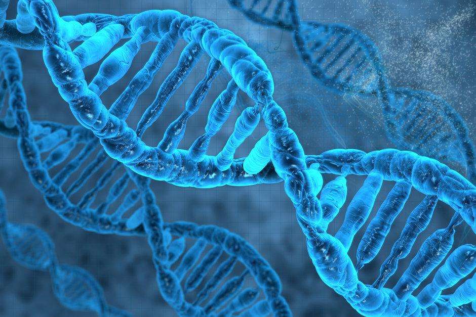 इस सॉफ्टवेयर की मदद से पलक झपकते ही हो जाएगी डीएनए की पहचान