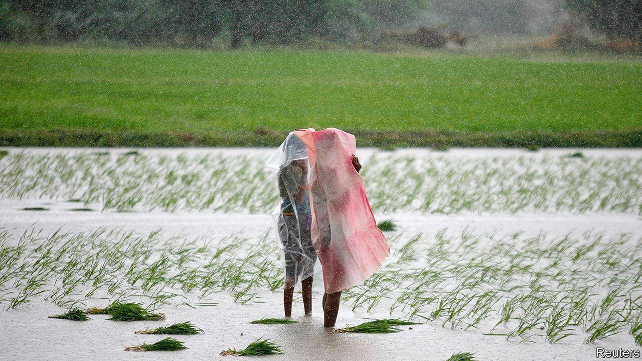जानिए अम्ल वर्षा क्या होती, ये होते है इसके कारण और प्रभाव