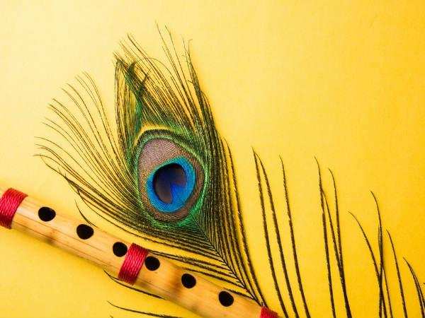 Vastu Tips: वास्तु अनुसार जानिए घर में मोरपंख रखने के फायदें