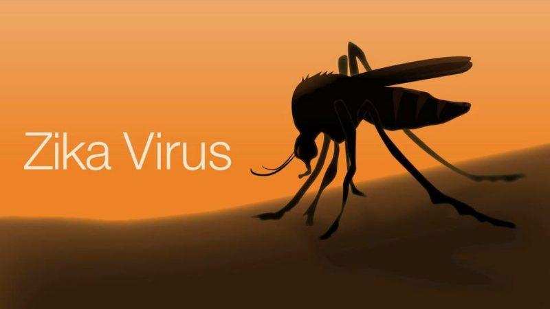 केवल एडीज मच्छर से नहीं फैलता है डेंगू, नए मच्छर का पता चला