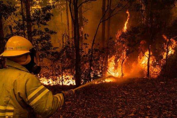 ऑस्ट्रेलिया के जंगलों में आग से पीड़ितों के लिए  वॉर्न करेंगे नेक काम