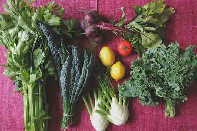 सब्जियों में प्रोटीन मांसाहारी खाद्य पदार्थों की तुलना में अधिक उपयोगी है, जिससे मृत्यु का खतरा कम हो जाता है