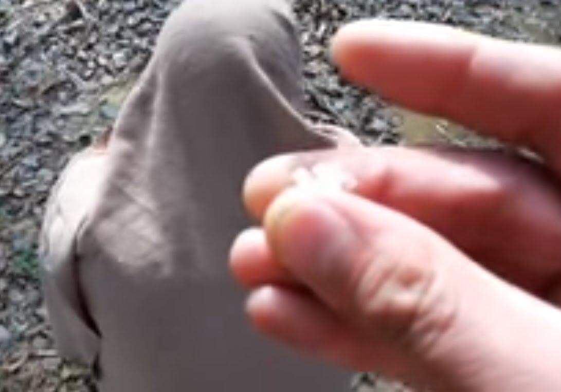 ‘शैतान’ को कैद करने का करता था दावा, मौत के बाद उठा रहस्य से पर्दा तो कांप उठे लोग, जानिए क्या है मामला