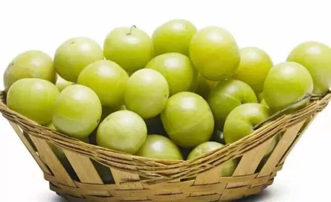 Health Tips: आंवला का प्रयोग कब्ज और बवासीर के इलाज के लिए किया जाता है