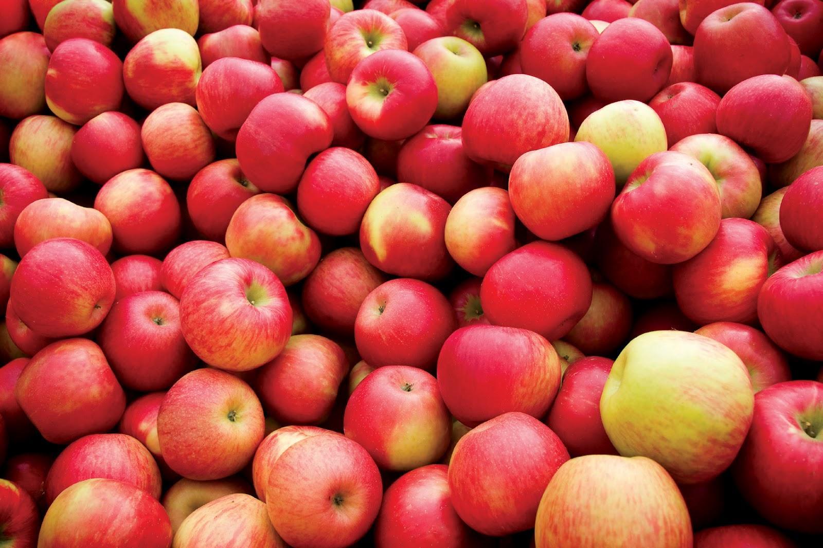 जानिए सेब खाने से किन रोगों में मिलता है फायदा