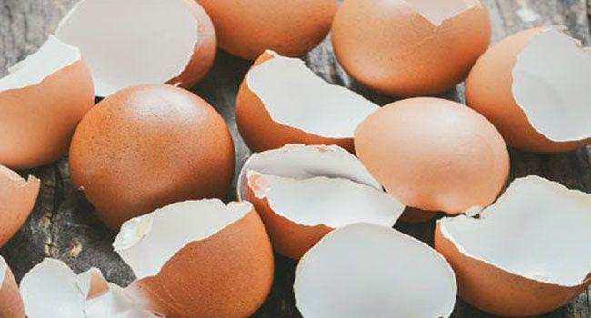 अंडे का छिलका एक बहुत ही असरदार चीज है, जानिए इसका उपयोग
