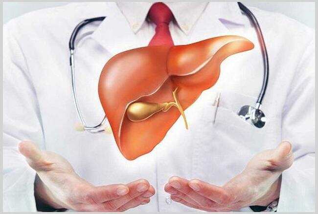 स्वास्थ्य जीवन की सबसे बड़ी संपत्ति है, जाने कैसे रहे स्वस्थ