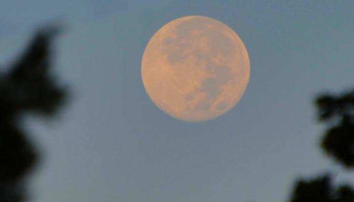 Super snow moon के 24 घंटे बाद मिलने वाली है 4 राशियों को एक बड़ी खुशखबरी…