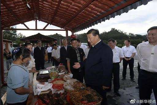 President Xi Chinfing ने हूनान प्रांत का दौरा किया