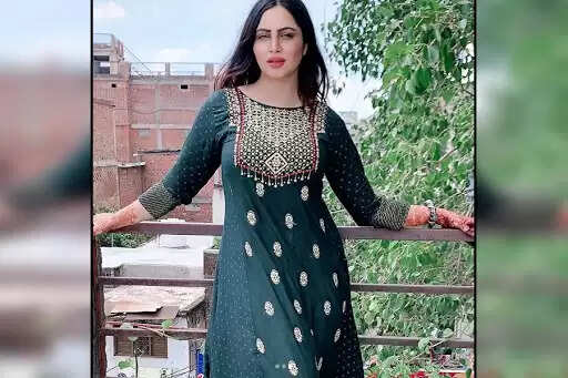 डिजिटल प्रोजेक्ट्स में काम करने का अच्छा समय : Arshi Khan