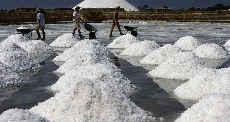 समुद्री नमक खाने से हड्डियां मजबूत होती हैं, एक चुटकी नमक के कई फायदे जानें
