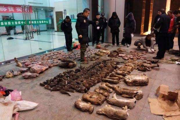 चीन में जानवरों के मांस से फैला खतरनाक कोरोना वायरस