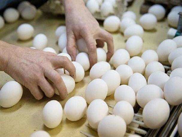 इन अंडों का जहर शरीर की कई ग्रथिंयों को करता है खराब