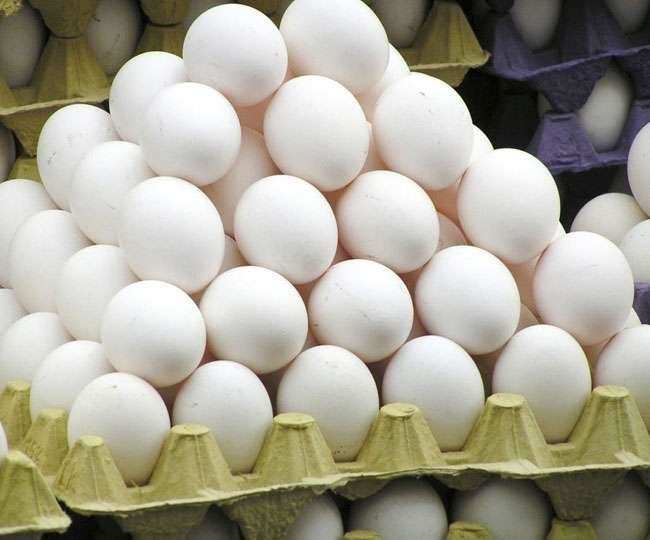 सब्जियों के बाद दूध, अंडा और चिकन भी होगा महंगा जाने क्यों बड रही यह कीमत