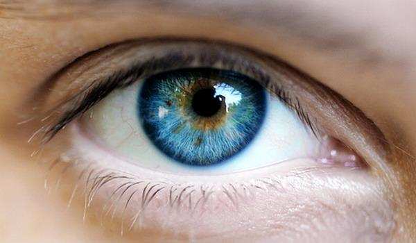 वैज्ञानिकों ने प्रयोगशाला में विकसित की इंसानी आंख