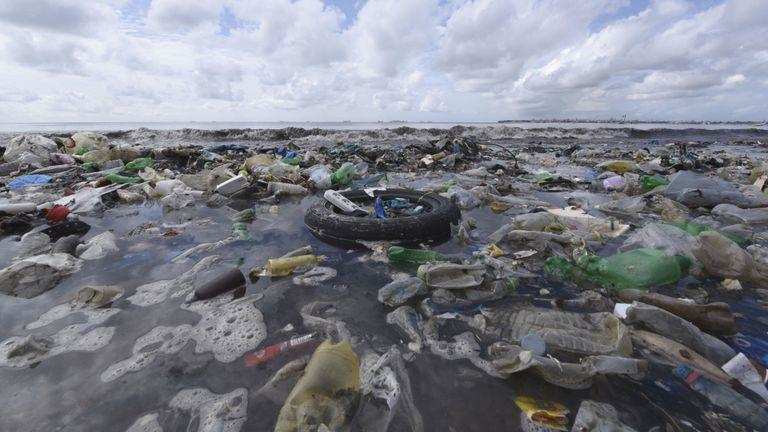 सबसे गहरे समुद्री जीव में भी पाये जाते है प्लास्टिक के कण
