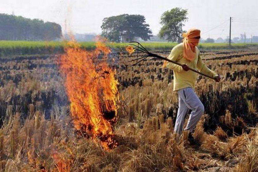 सरकार की सख्ती के बावजूद किसान क्यों जलाते हैं stubble ?