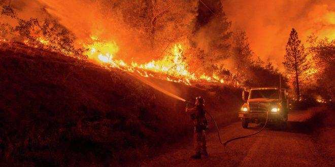 California में लगीं आग से इस साल 34 लाख एकड़ जमीन जली