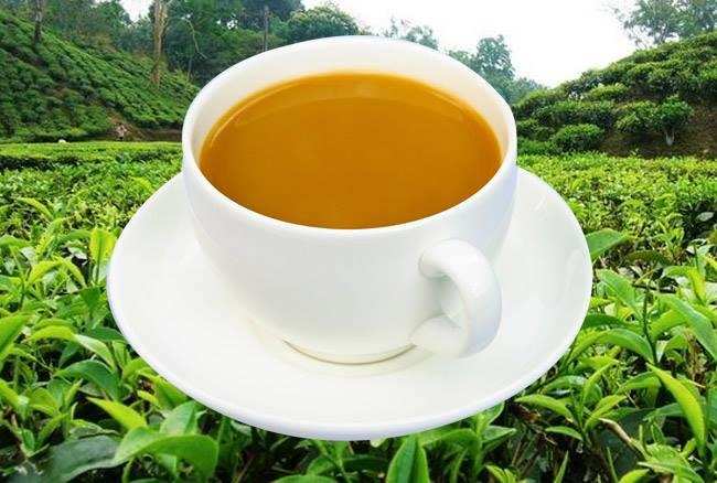 न केवल हरी-काली चाय, बल्कि दूध की चाय भी वजन घटाने में मदद करती है, फायदे जानें