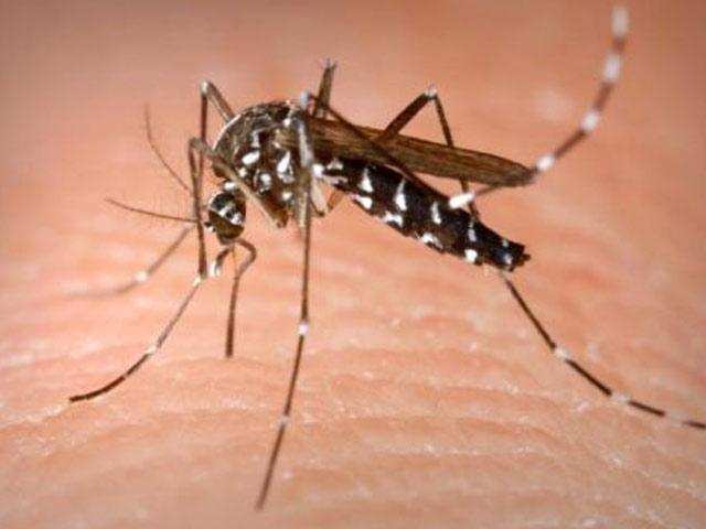 बदलते मौसम में मच्छर के कारण फैल रही है यह गंभीर जानलेवा बीमारी, बचाव में ही है समझदारी