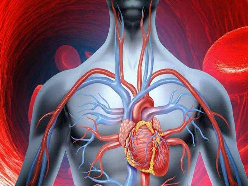 दिल का दौरा एनजाइना के दर्द का संकेत,जानें क्या होते हैं एनजाइना के लक्षण&nbsp;