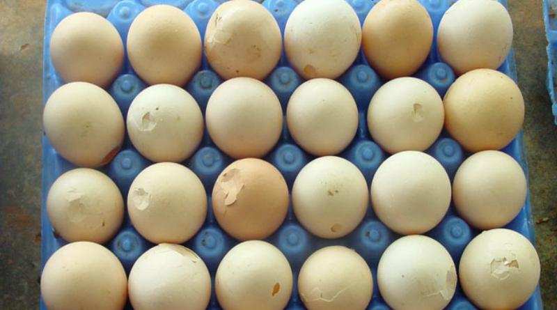 इन अंडों का जहर शरीर की कई ग्रथिंयों को करता है खराब