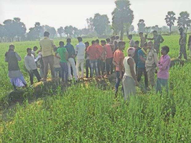 Bihar के नवादा में गजराज का उत्पात, अब तक 4 को कुचला