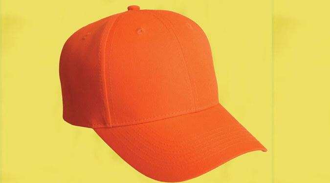 IPL 2020: केएल राहुल या शिखर धवन, जानिए किसने किया Orange cap पर कब्जा