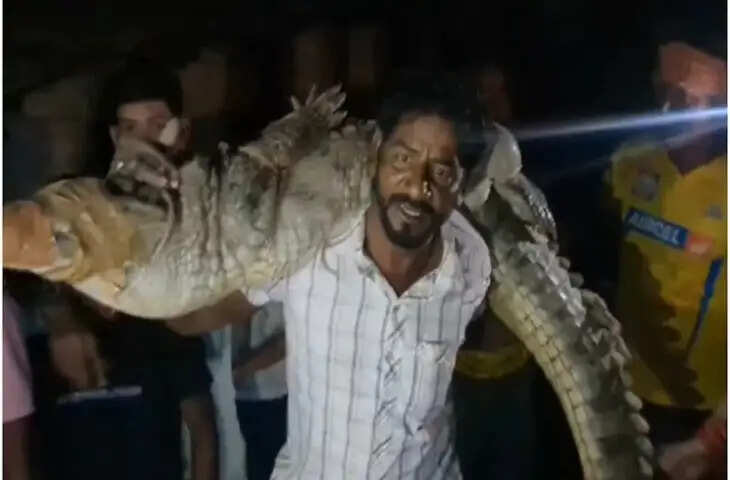 घर में आ बैठा 10 फीट लंबा मगरमच्छ, 'बाहुबली' की तरह कंधे पर उठाकर ले गया 'टाइगर'