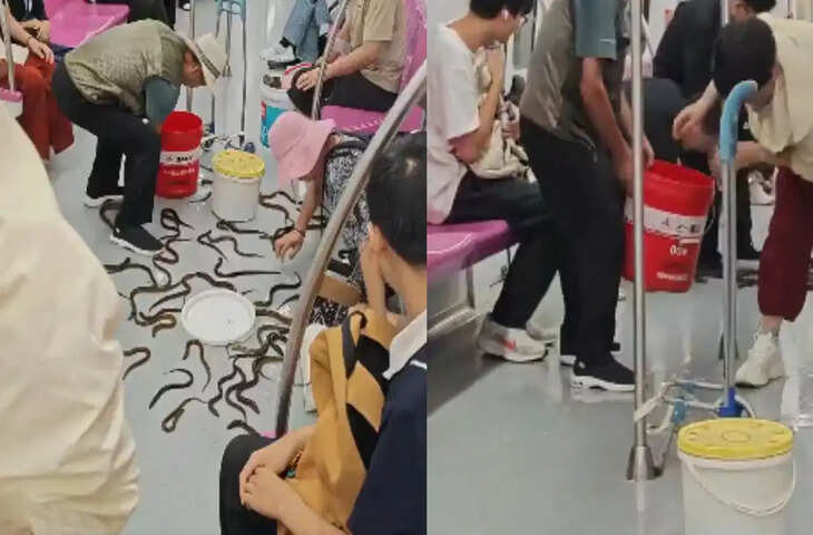 China Metro Viral: मेट्रो के अंदर अचानक निकल आईं दर्जनों ईल! पैरों के पास रेंगती मछलियां देख यात्रियों के उड़े होश