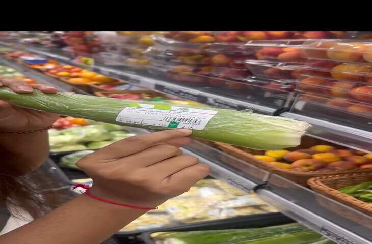 Dubai Aloe Vera Price: भारत में घर-घर मिलने वाला एलोवेरा दुबई में बिक रहा महंगा? वायरल दावे ने खींचा ध्यान