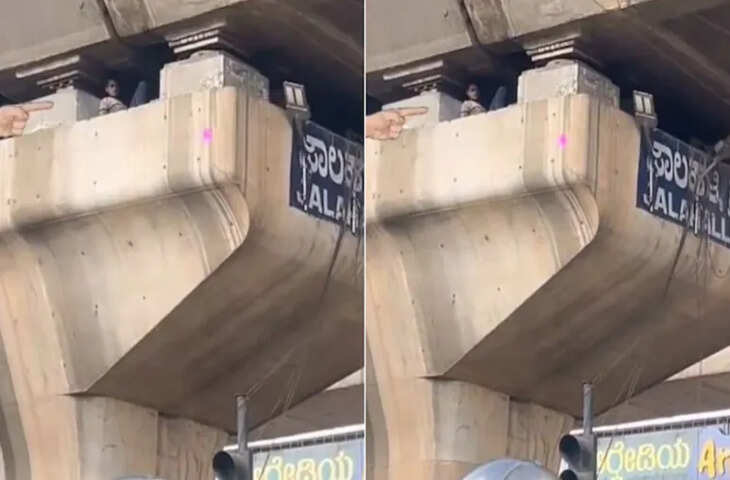 फ्लाईओवर के खंभे के अंदर सोता मिला शख्स, वायरल Video देख दंग रह गए लोग