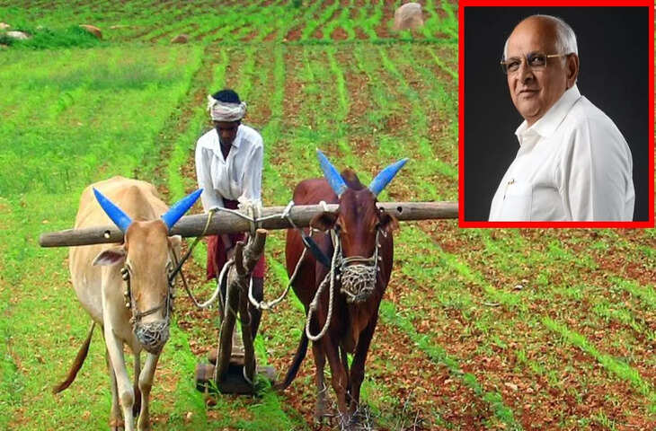 गुजरात के किसानों के लिए राज्य सरकार का बड़ा ऐलान, सर्दियों में फसल बोने के लिए मिलेगी ये सुविधा